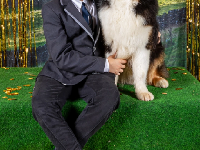 Australian Shepherd puppy for sale
