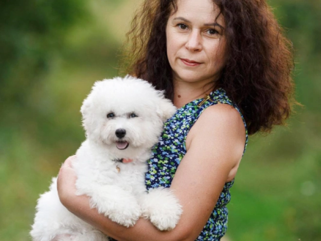 Bichon Frise Welpe kaufen