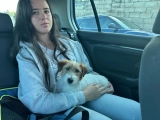 Romulus - Jack-Russell-Terrier, EuroPuppy review from Malta