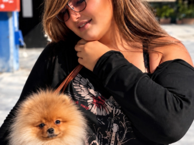 Perros Pomerano en venta