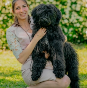 Portugiesischer Wasserhund Welpe kaufen