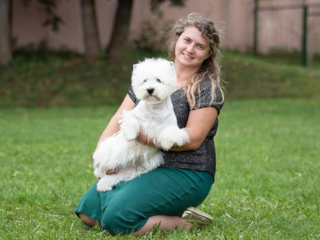 West Highland White Terrier Welpe kaufen
