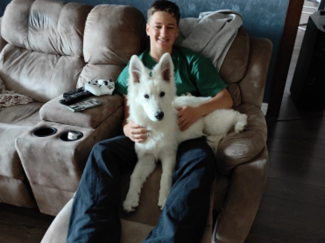 Berger Blanc Suisse Welpe kaufen