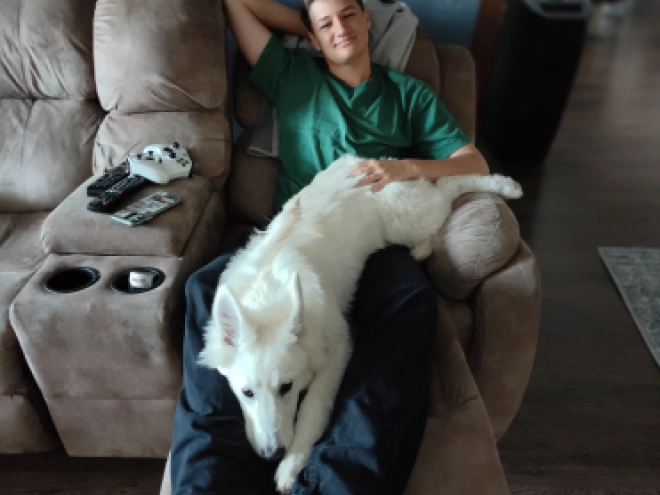 Berger Blanc Suisse Welpe kaufen