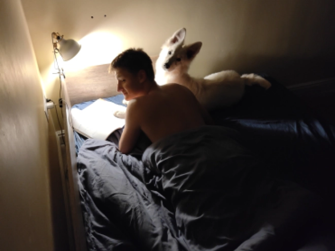 Berger Blanc Suisse Welpe kaufen