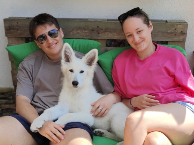 Berger Blanc Suisse Welpe kaufen