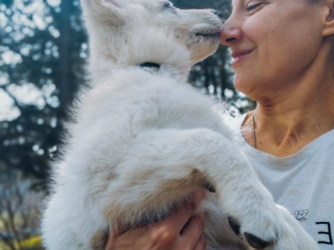 White Swiss Shepherd Dog puppy for sale