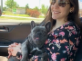 Sparka - Bulldog Francés, EuroPuppy review from Estados Unidos