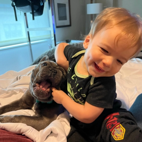 Sparka - French Bulldog, EuroPuppy review from United States