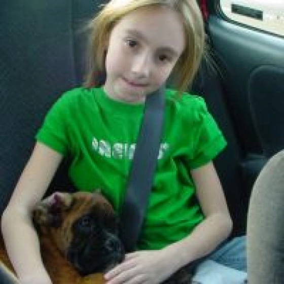 Martin - Boxer, EuroPuppy review from Estados Unidos