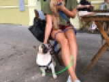 Buzzy - Bulldog Francés, EuroPuppy review from Alemania