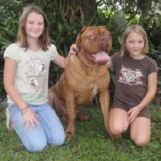 Thor - Dogo de Burdeos, EuroPuppy review from Estados Unidos