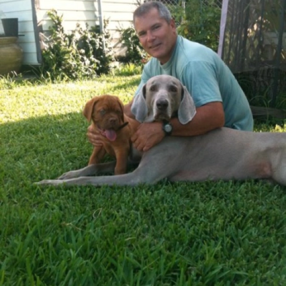 Fedinand - Dogue de Bordeaux, EuroPuppy review from United States