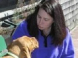 Sampson - Dogue de Bordeaux, EuroPuppy review from USA