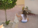 Bonnie - Golden Retriever, EuroPuppy review from Qatar