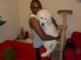 Merlin - Golden Retriever, EuroPuppy review from Emiratos Árabes Unidos