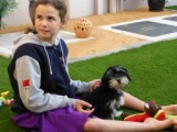 Diego - Havaneser, EuroPuppy review from Vereinigte Arabische Emirate