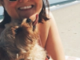 Kelvin - Yorkshire Terrier, EuroPuppy review from Vereinigte Arabische Emirate