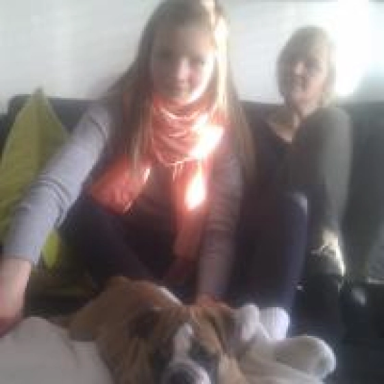 Eddie - Miniature English Bulldog, EuroPuppy review from Denmark