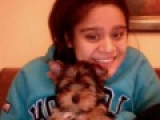 Mocha - Yorkshire Terrier, EuroPuppy review from Kuwait