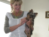Talia - Yorkshire Terrier, EuroPuppy review from Deutschland