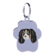 Cavalier King Charles Spaniel (Tricolor)
